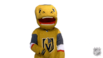 Vegas Golden Knights Sport GIF by NHL