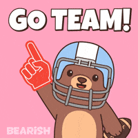 Super Bowl Win GIF by BEARISH