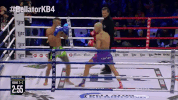 GIF by Bellator