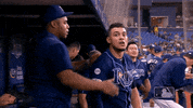 Regular Season Yes GIF by MLB