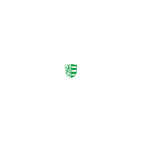 FV09Niefern fussball fvn niefern fv09niefern Sticker