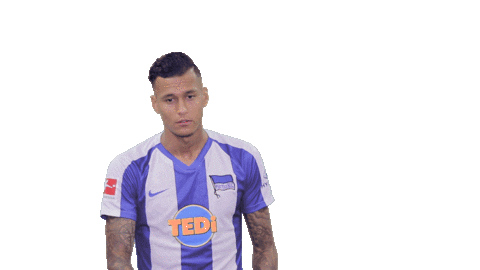 Davie Selke Sticker by Hertha BSC