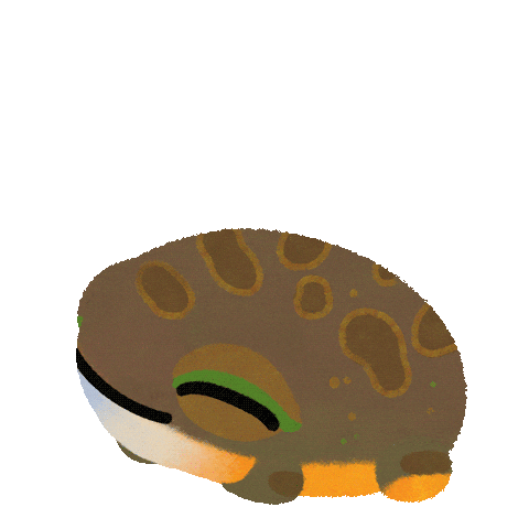 Good Morning Frog Sticker by pikaole