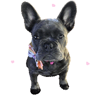 Cute Dog Sticker