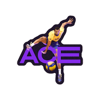 Happy Get Ready Sticker by Volleyball World