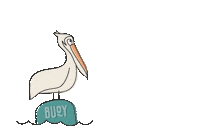 JustAddBuoy hydration pelican buoy buoyhydration Sticker