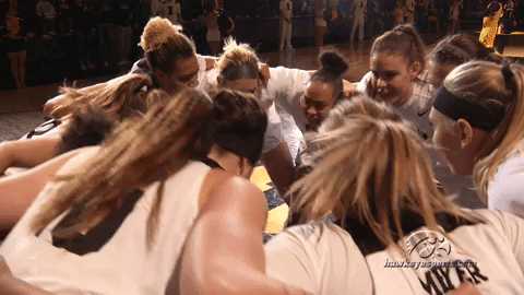 iowa hawkeyes GIF by University of Iowa Hawkeyes Athletics