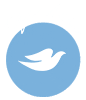 Care Taphere Sticker by Dove