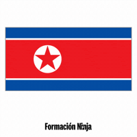 North Korea Flag GIF by Formación Ninja