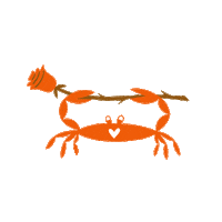 Beach Rose Sticker by Monique Aimee