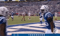Indianapolis Colts Football GIF by NFL
