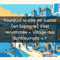 Sony Pictures Transformation GIF by ExpliquePourquoi.com