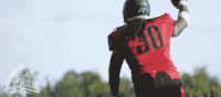 southeast missouri state university football GIF by SEMissouriState