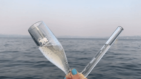 summer beach GIF