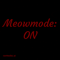 Cat Crypto GIF by vankedisi