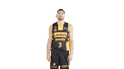 Vamos Lets Go Sticker by ACB