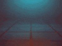 Flower Iran GIF by alanj saffron