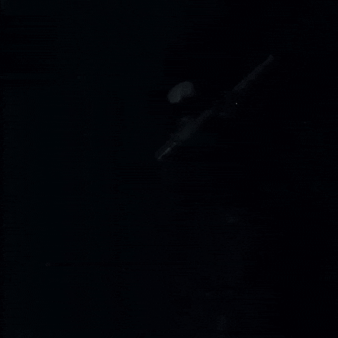 Playboi Carti Halloween GIF by Respective