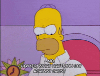 homer simpson GIF