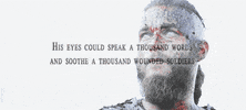 v vikings GIF