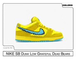 Nike Dunk GIF by COLORS Sneakers