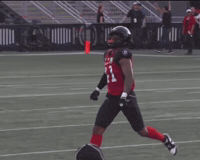 Brian Celebrate GIF