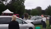 Escaped Elephant Visits Car Boot Sale