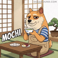 Shiba Inu Drinking GIF by Doge Pound