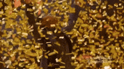 nbc golden buzzer GIF by America's Got Talent