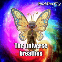 Butterfly Change GIF by BuddhaFlyJourney