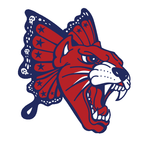 4Th Of July Cat Sticker by Taylor Reeve