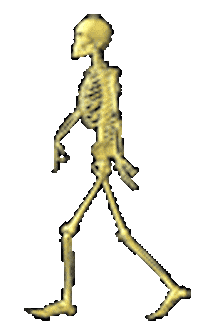 skeleton STICKER