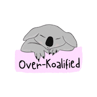Bear Koala Sticker