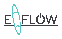 e-flow sup watersport efoil maasplassen Sticker