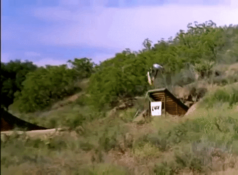 dudeinbk giphygifmaker dc shoes danny way GIF