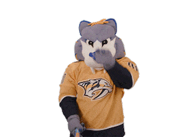 Ice Hockey Sticker by NHL