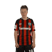 I Love You Smile Sticker by Bayer 04 Leverkusen