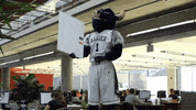 bigblue GIF by Utah State University