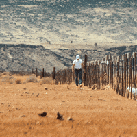 Walking Alone Burn It Down GIF by Parker McCollum