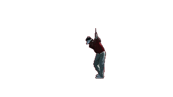 Bubba Watson Sticker by ProSport Management