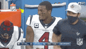 Houston Texans Football GIF by NFL