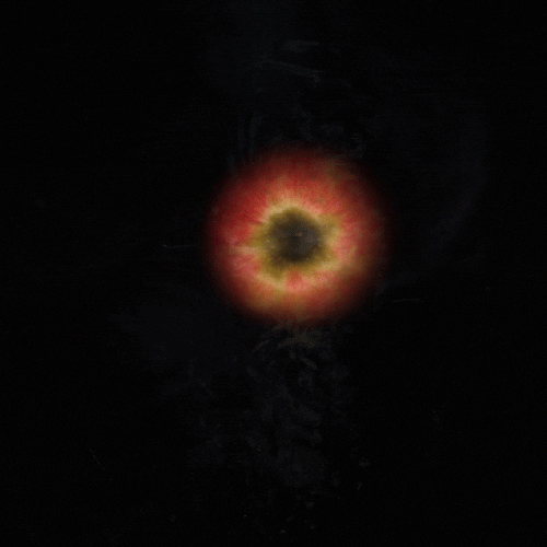 karascuro giphyupload apple swirl scans GIF