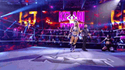 Wwe Wrestling GIF
