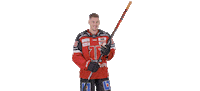 Hockey Player Fun Sticker by Örebro Hockey