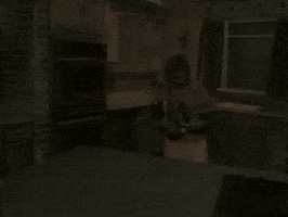 your mom GIF