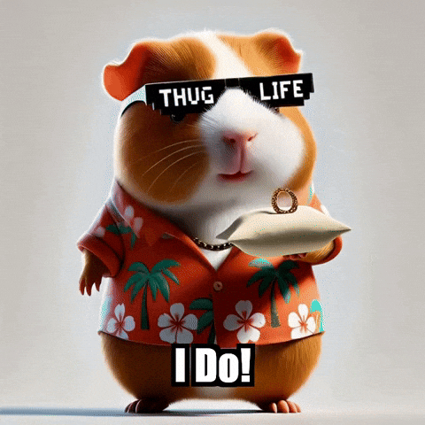 Guinea Pig Wedding GIF by Guinea Gambino
