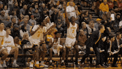 Basketball Win GIF by Valparaiso University