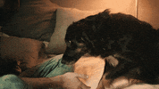Sleeping In Jack Barakat GIF by ALL TIME LOW
