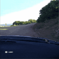 Rock Greece GIF by FIA World Rally Championship