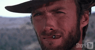GIF by SharkTv